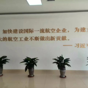 机场案例